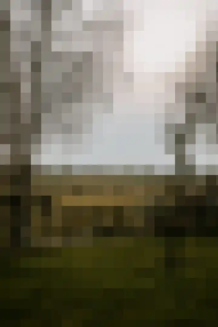 De Oude Weg 25 Elst Ut thumbnail 6