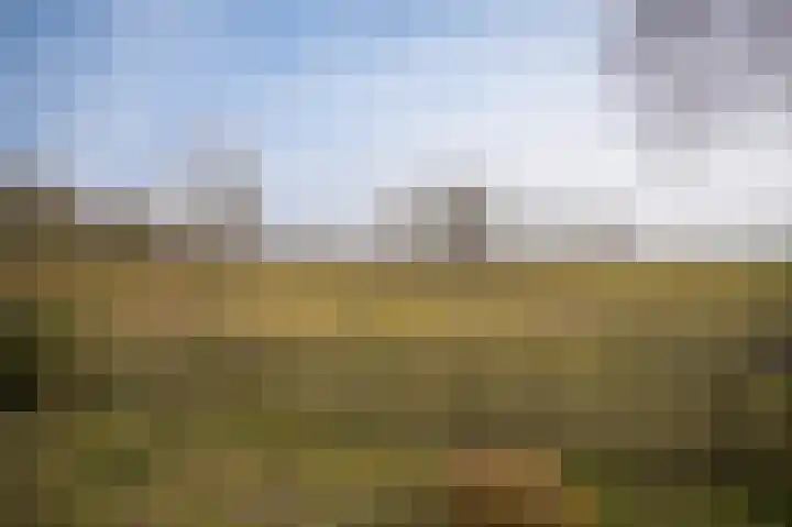 De Oude Weg 25 Elst Ut thumbnail 9