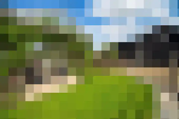De Oude Wijk 27 Boskoop thumbnail 14