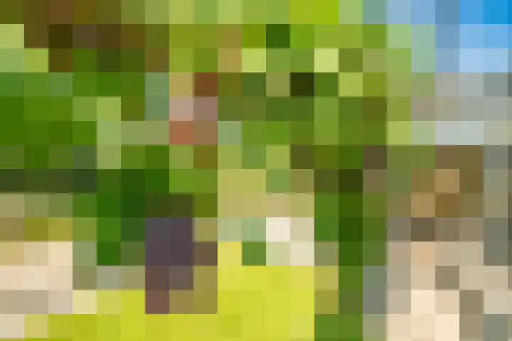 De Oude Wijk 27 Boskoop thumbnail 15