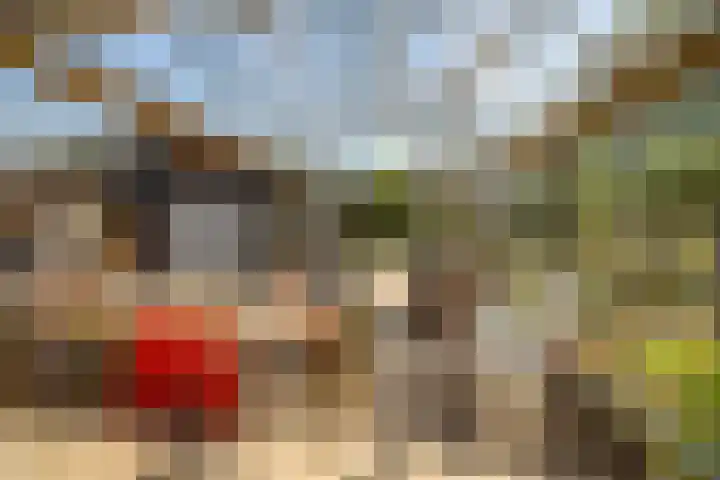 De Oude Wijk 27 Boskoop thumbnail 17