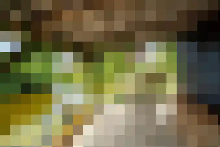De Oude Wijk 27 Boskoop thumbnail 20
