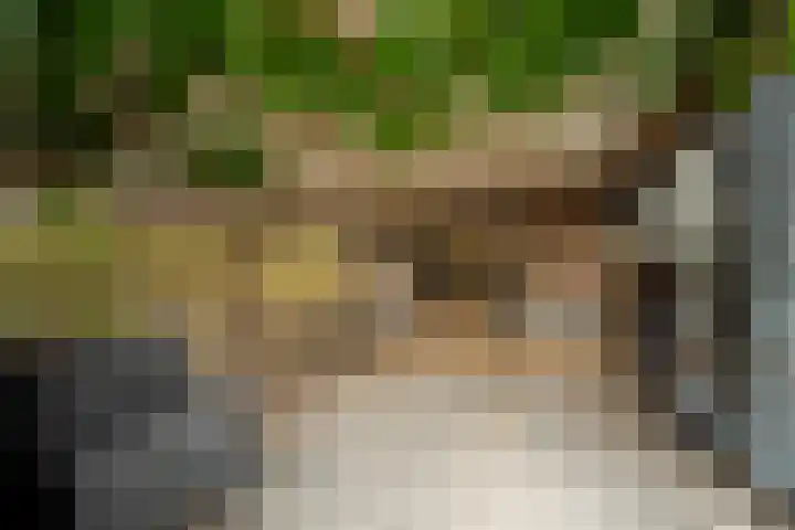 De Oude Wijk 27 Boskoop thumbnail 22