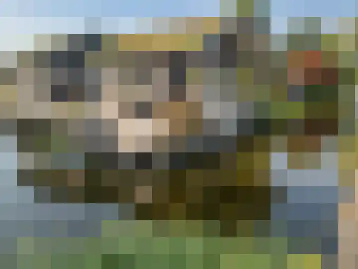 De Oude Wijk 27 Boskoop thumbnail 23