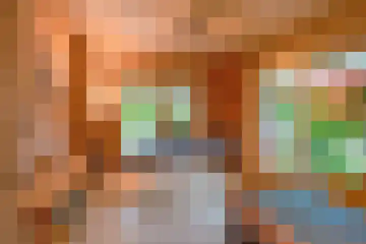 De Oude Wijk 27 Boskoop thumbnail 36