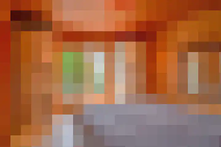 De Oude Wijk 27 Boskoop thumbnail 40