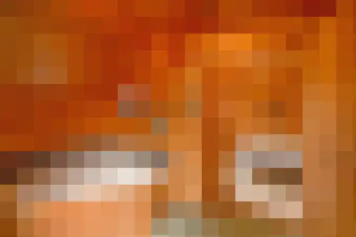 De Oude Wijk 27 Boskoop thumbnail 41