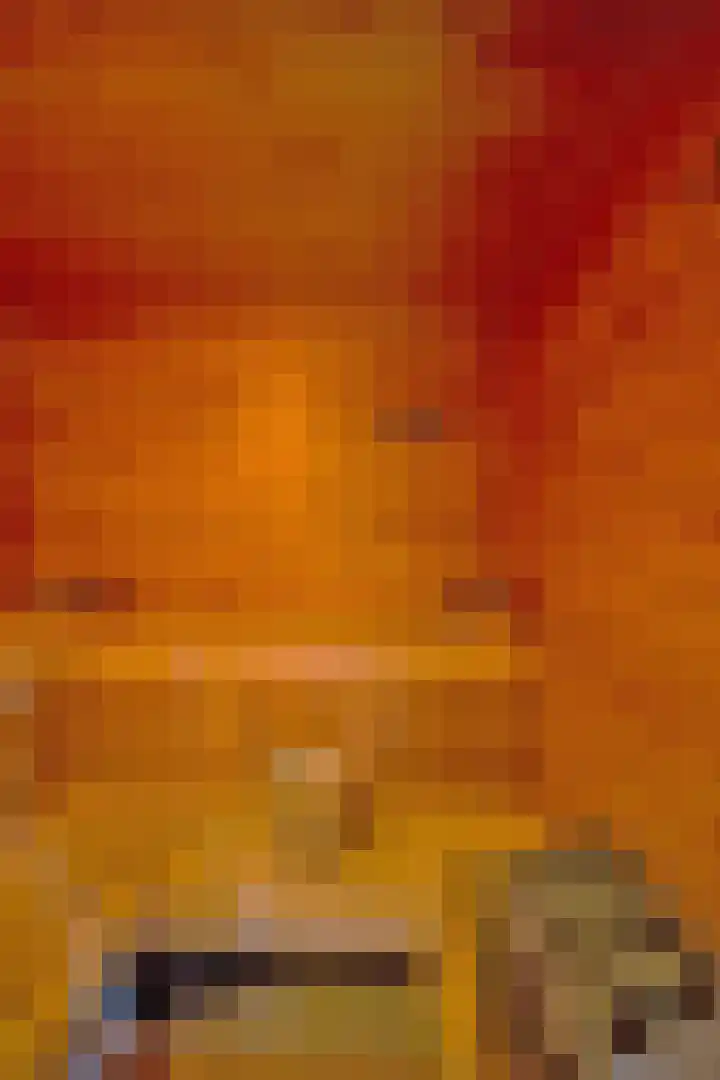 De Oude Wijk 27 Boskoop thumbnail 44