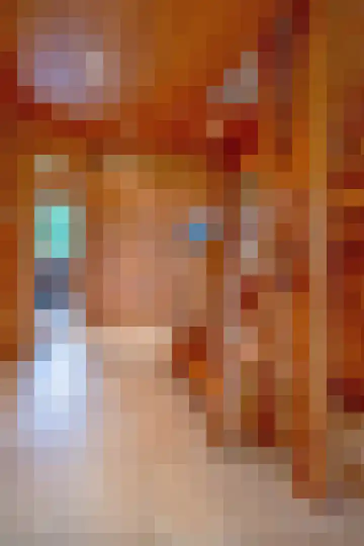 De Oude Wijk 27 Boskoop thumbnail 45