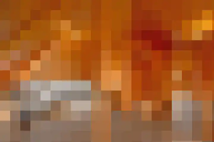 De Oude Wijk 27 Boskoop thumbnail 47