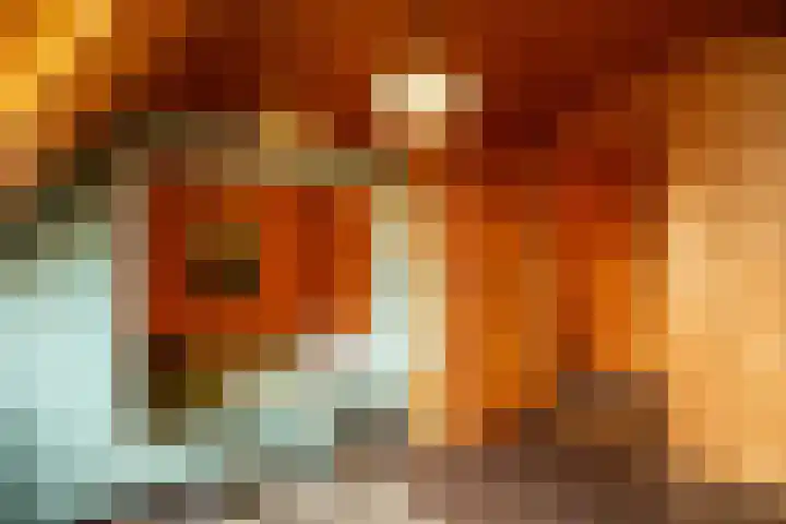 De Oude Wijk 27 Boskoop thumbnail 51