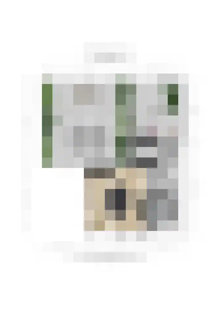 De Oude Wijk 27 Boskoop thumbnail 59