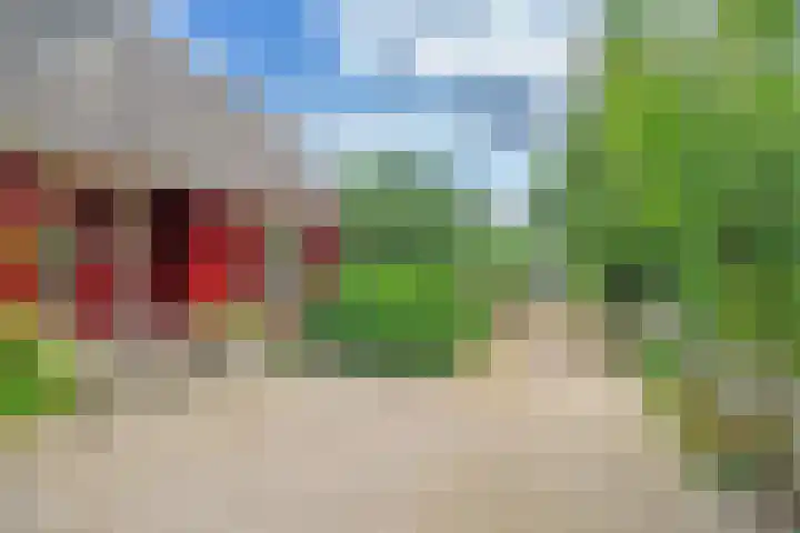 De Oude Wijk 27 Boskoop thumbnail 6