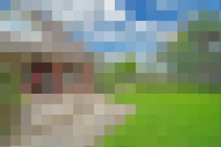 De Oude Wijk 27 Boskoop thumbnail 8