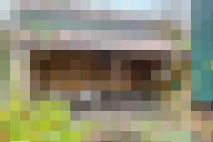 De Oude Zwan 3 Zaandam thumbnail 12