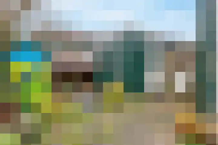 De Oude Zwan 3 Zaandam thumbnail 13