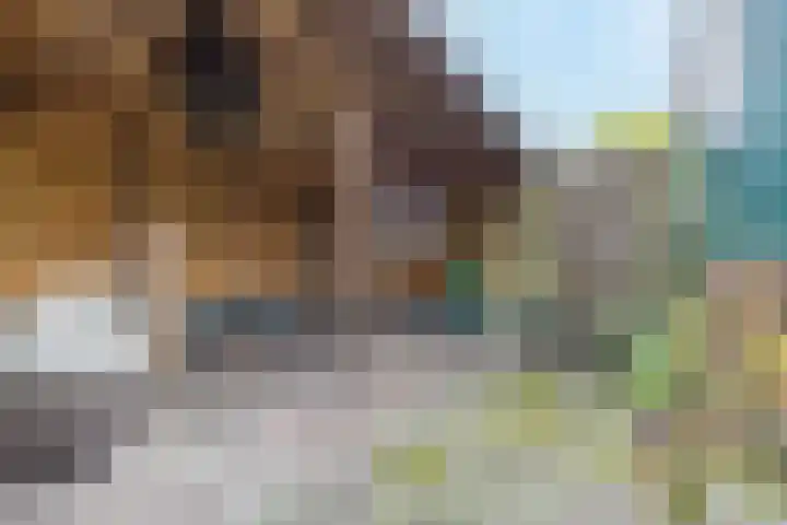 De Oude Zwan 3 Zaandam thumbnail 14