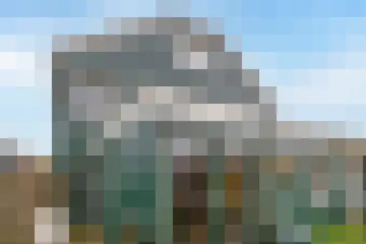 De Oude Zwan 3 Zaandam thumbnail 17