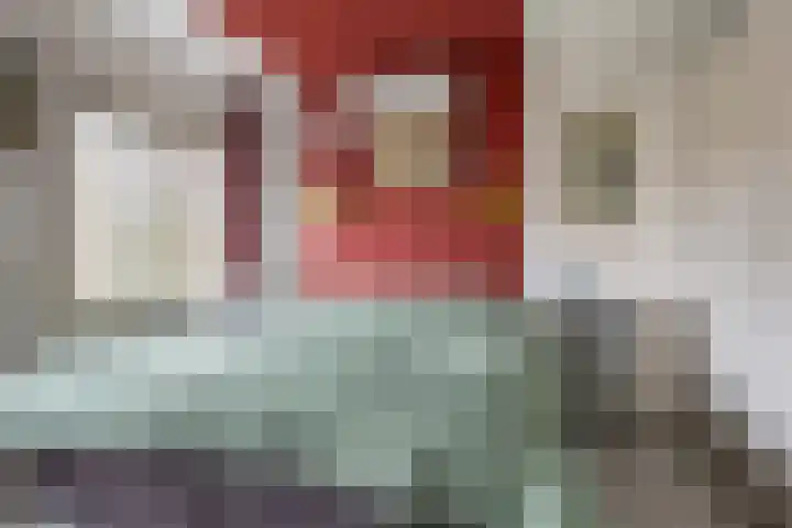 De Oude Zwan 3 Zaandam thumbnail 19