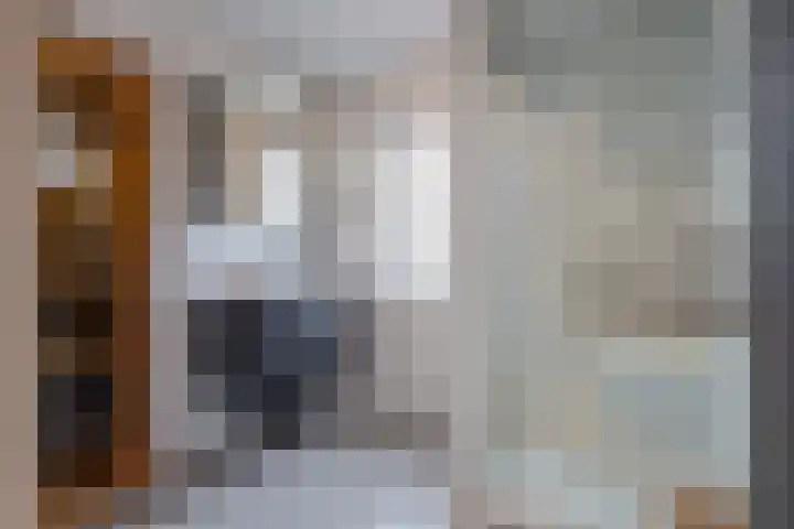 De Oude Zwan 3 Zaandam thumbnail 24