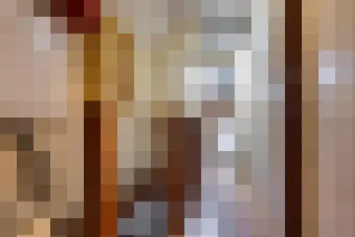 De Oude Zwan 3 Zaandam thumbnail 30
