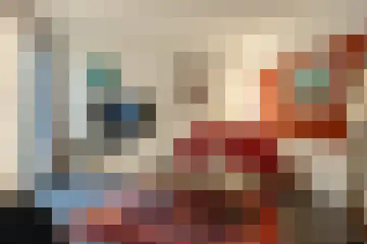 De Oude Zwan 3 Zaandam thumbnail 4