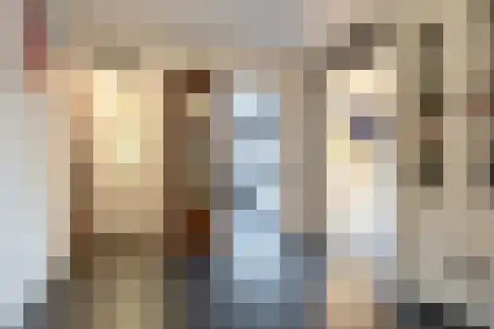 De Oude Zwan 3 Zaandam thumbnail 7