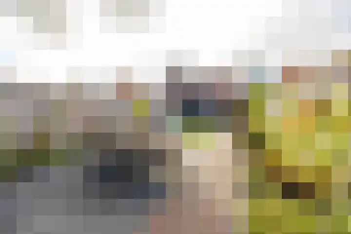 De Overtoom 5 Meerstad thumbnail 18