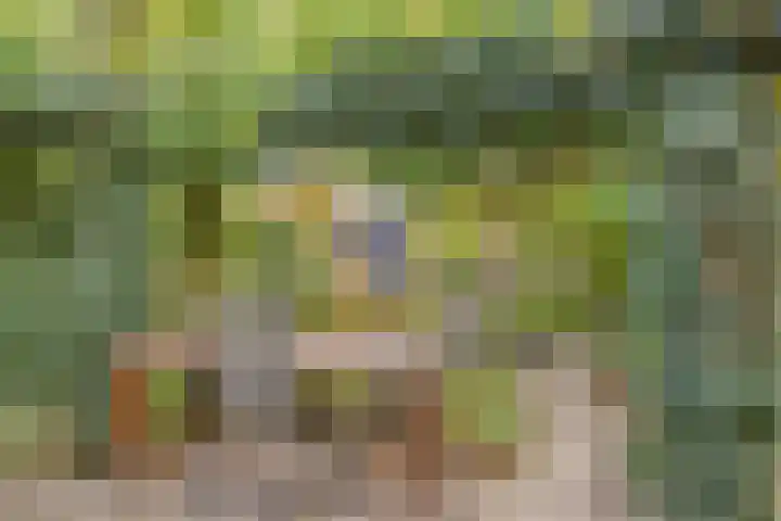 De Papiermaker 12 Boxtel thumbnail 29