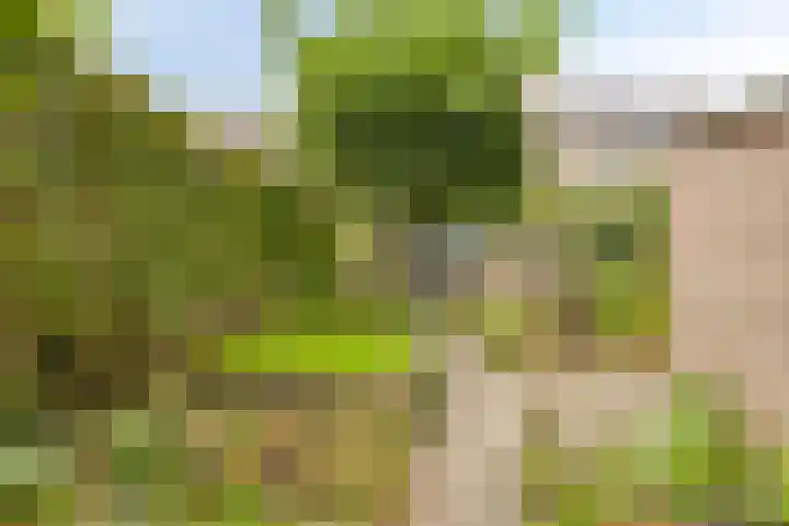 De Papiermaker 12 Boxtel thumbnail 31