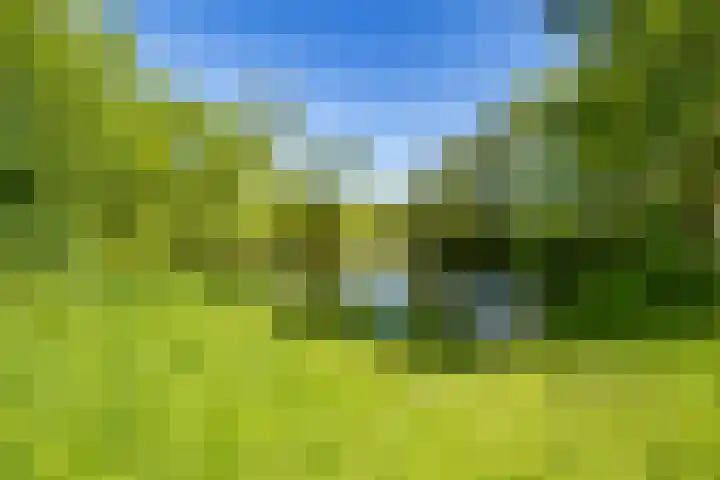 De Papiermaker 12 Boxtel thumbnail 9