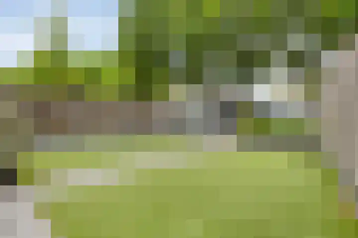De Papiermaker 35 Boxtel thumbnail 23