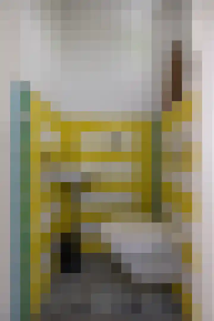 De Parel 16 Kornhorn thumbnail 19