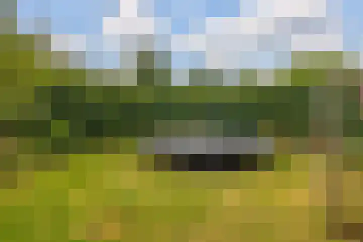 De Parel 16 Kornhorn thumbnail 35