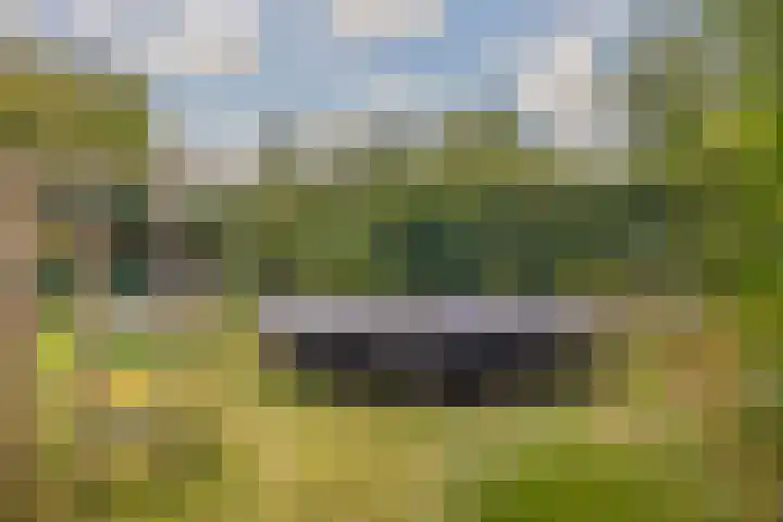 De Parel 16 Kornhorn thumbnail 36