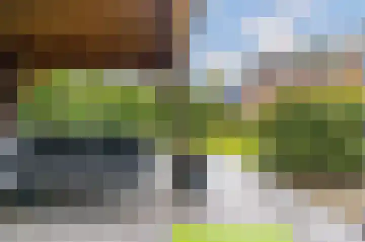 De Parel 16 Kornhorn thumbnail 37