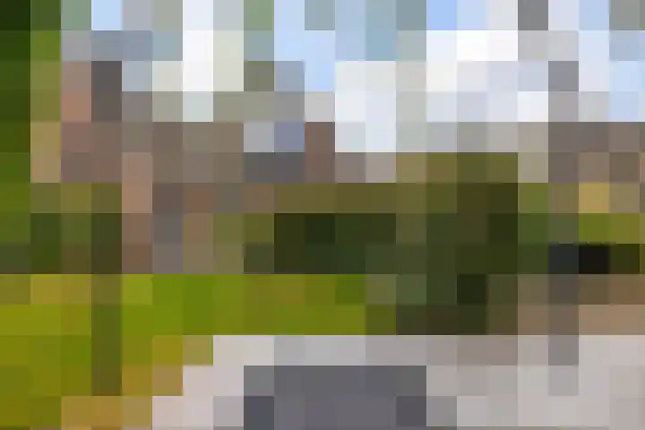 De Parel 16 Kornhorn thumbnail 39