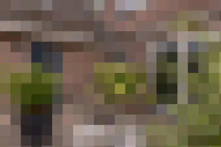 De Parel 16 Kornhorn thumbnail 40