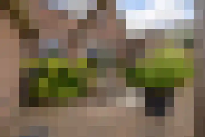 De Parel 16 Kornhorn thumbnail 41