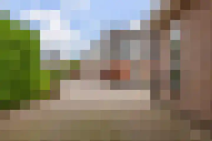 De Parel 16 Kornhorn thumbnail 43