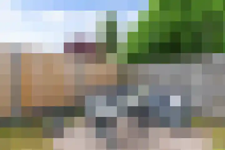De Parken 8 Drachten thumbnail 30