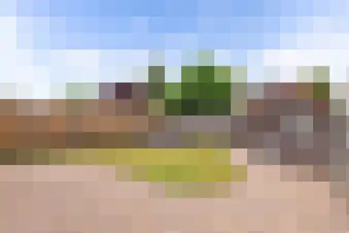 De Parken 8 Drachten thumbnail 31