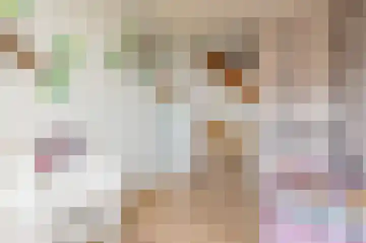 de Pas 26 Haarlo thumbnail 24