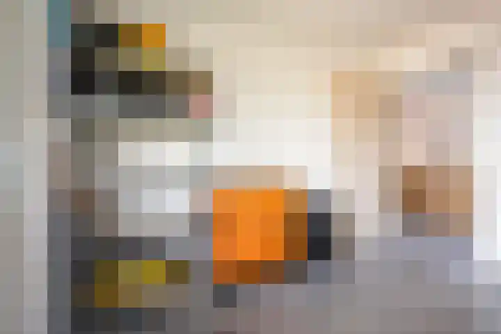 de Pas 26 Haarlo thumbnail 38