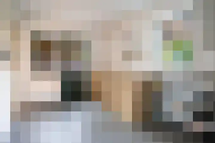 de Pas 26 Haarlo thumbnail 41