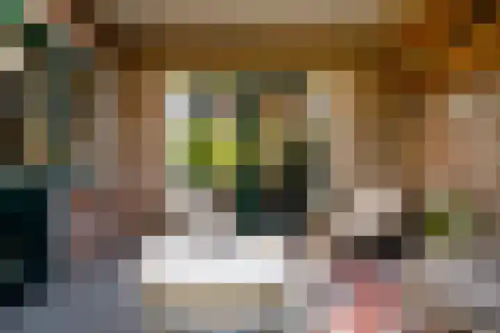 de Pas 26 Haarlo thumbnail 42
