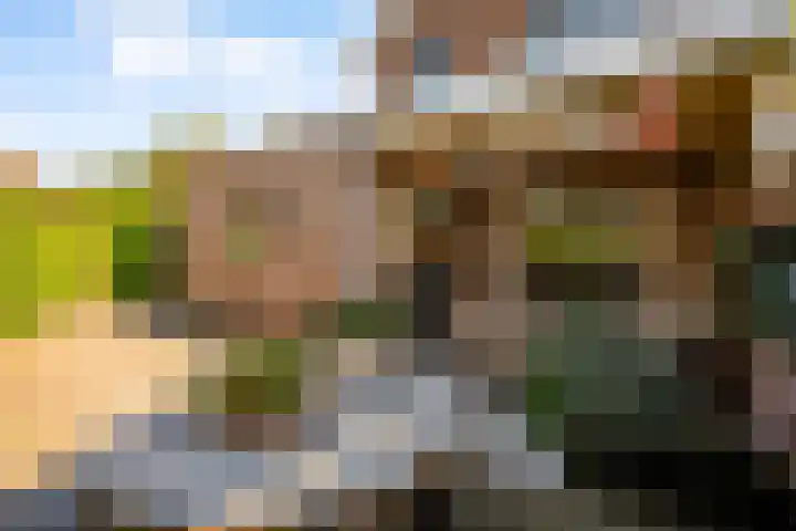 de Pas 26 Haarlo thumbnail 43
