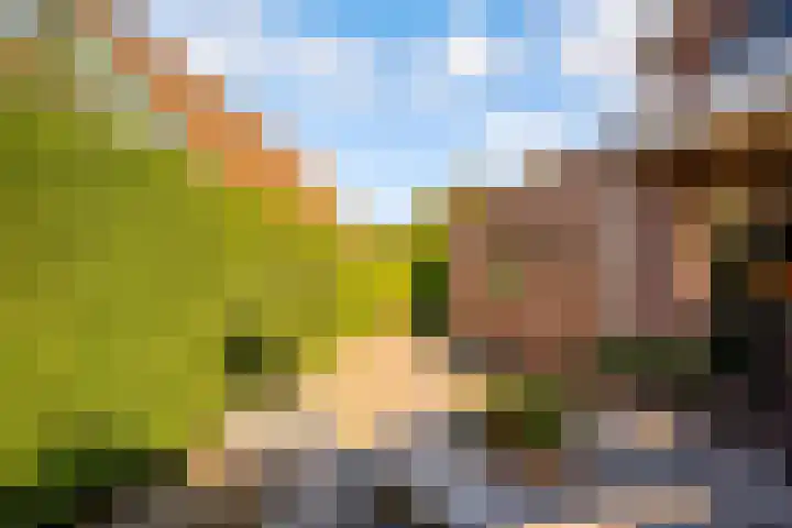 de Pas 26 Haarlo thumbnail 44