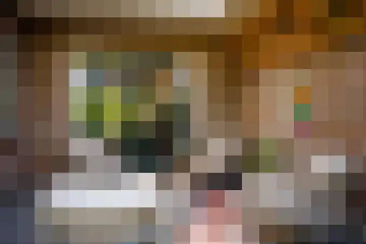de Pas 26 Haarlo thumbnail 45