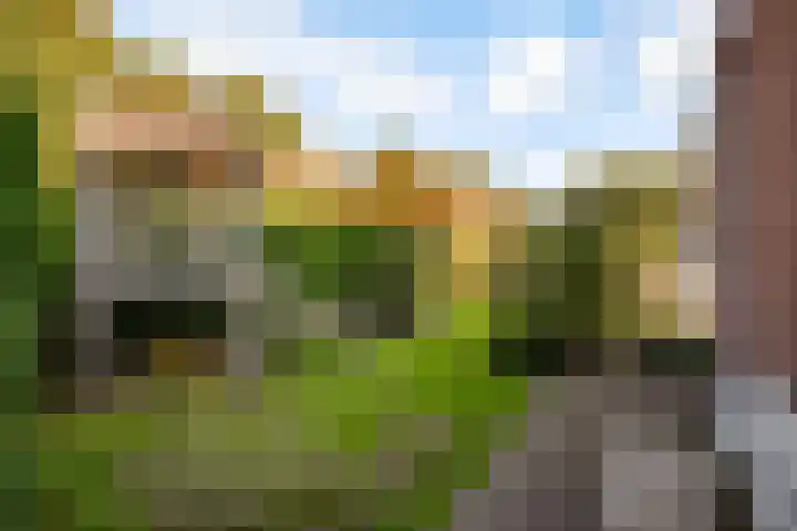 de Pas 26 Haarlo thumbnail 46